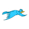 l'oiseau , la liberte